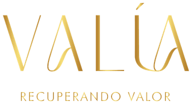 VALIA Logo
